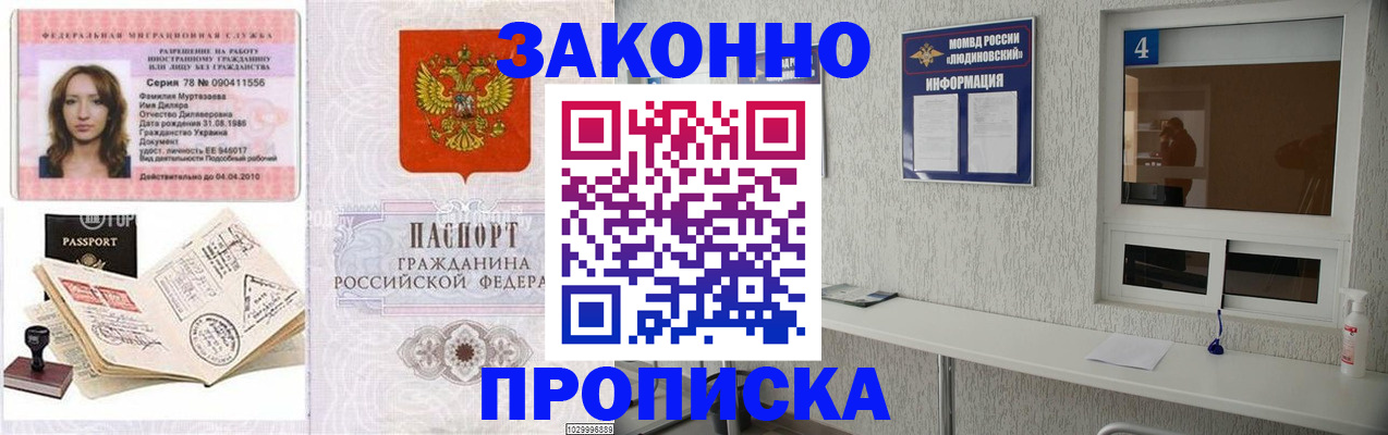 прописка в квартире в Сольцах