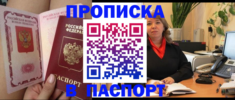 прописка поиск в Сольцах