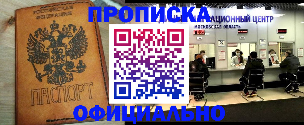 найти адрес прописки в Сольцах